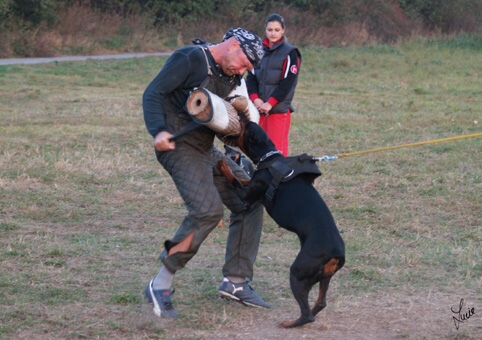 Training in Prague - defence - 10/2006